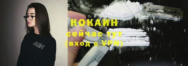 соль ск Белокуриха
