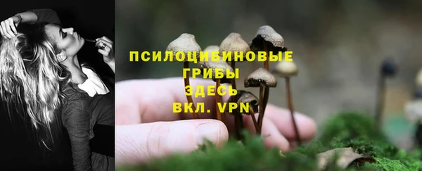 спиды Белоозёрский