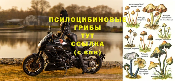 спиды Белоозёрский